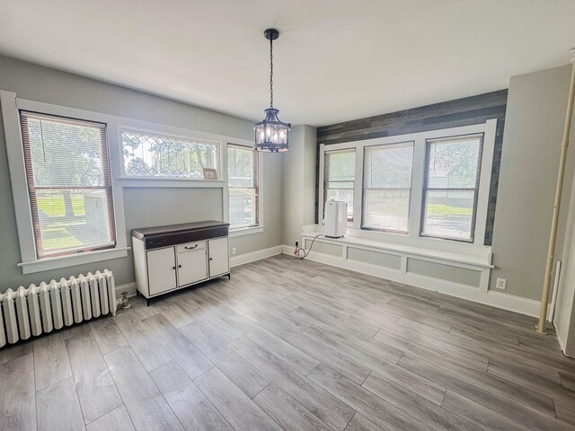 207 Pine St, Lucan, MN 56255 - photo 16