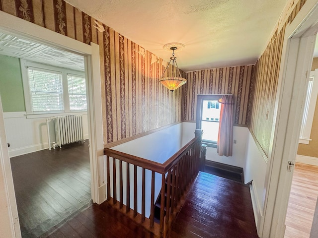 207 Pine St, Lucan, MN 56255 - photo 31
