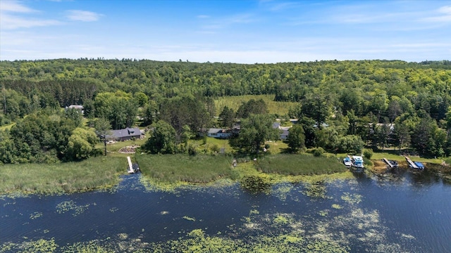 21837 Mishawaka Rd, Grand Rapids, MN 55744 - aerial view of property and surrounding area featuring a heavily wooded area and a large body of water