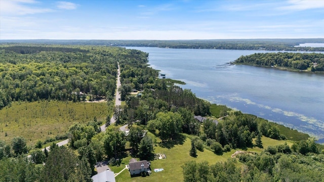 21837 Mishawaka Rd, Grand Rapids, MN 55744 - drone / aerial view of a heavily wooded area and a large body of water
