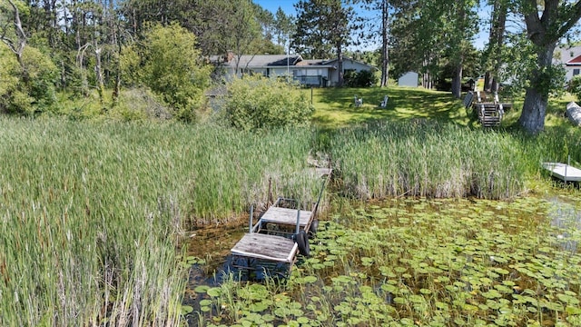 21837 Mishawaka Rd, Grand Rapids, MN 55744 - view of yard