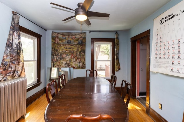 2912 15th Ave S, Minneapolis, MN 55407 - dining room featuring radiator heating unit, light wood-style floors, and a ceiling fan