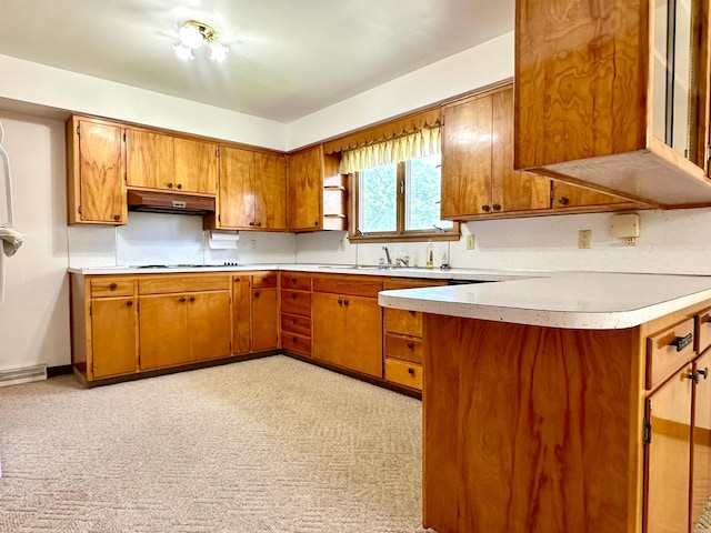 1224 Duba St, Worthington, MN 56187 - kitchen with under cabinet range hood, brown cabinetry, light countertops, and cooktop