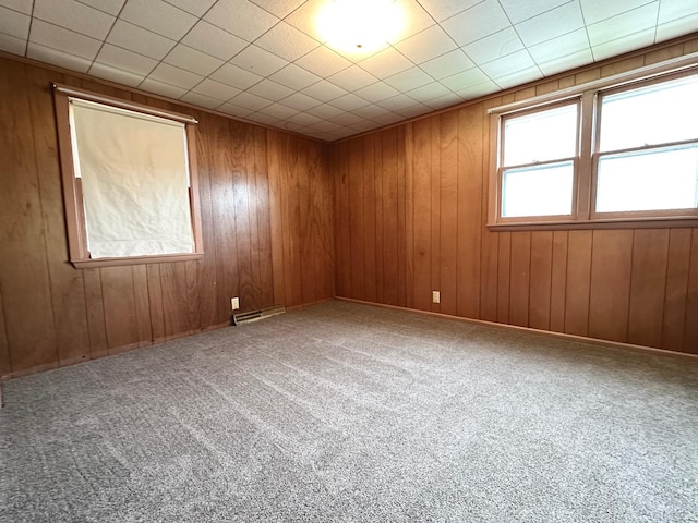 1224 Duba St, Worthington, MN 56187 - unfurnished room featuring carpet and wood walls