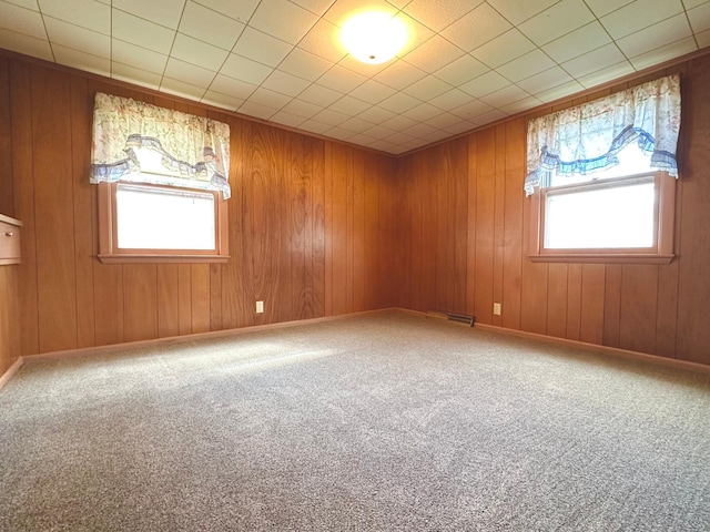 1224 Duba St, Worthington, MN 56187 - spare room with healthy amount of natural light, carpet floors, and wooden walls