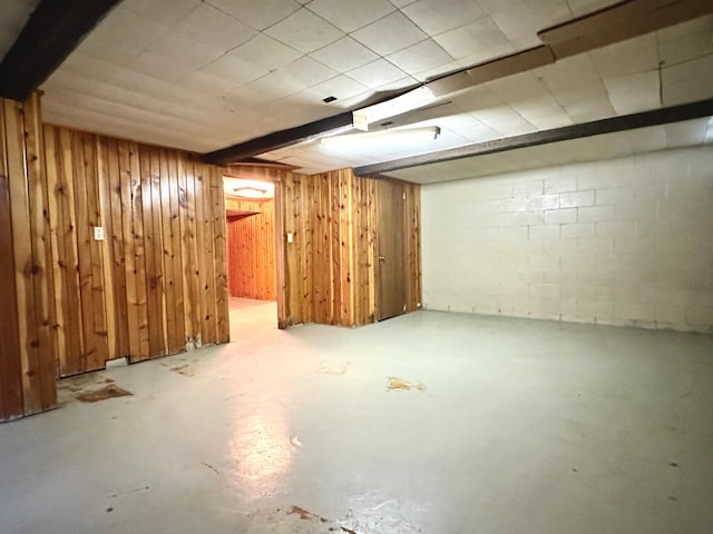 1224 Duba St, Worthington, MN 56187 - finished below grade area with concrete block wall and wood walls