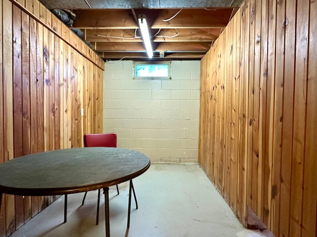 1224 Duba St, Worthington, MN 56187 - below grade area featuring wooden walls
