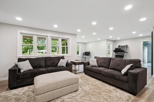 22470 Raven St NW, Oak Grove, MN 55011 - living room featuring wood finished floors and recessed lighting