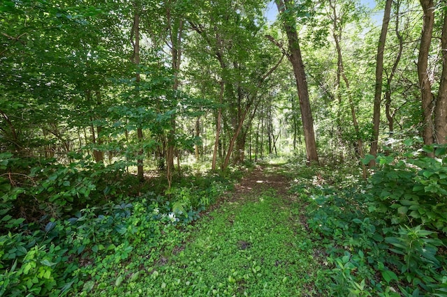 22470 Raven St NW, Oak Grove, MN 55011 - view of tree filled area