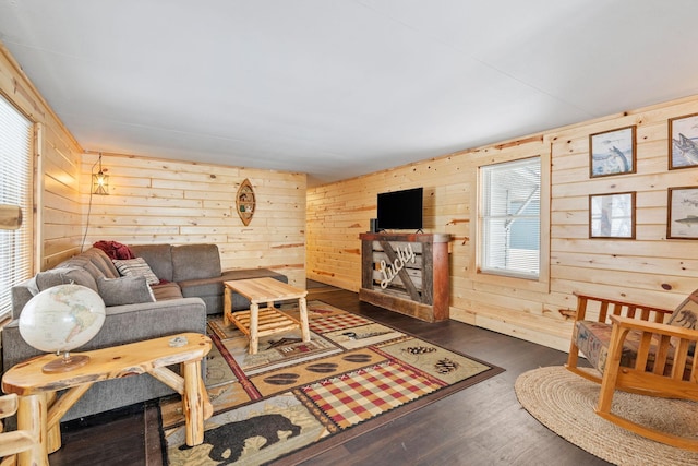 46317 Lucretia Ln, Isle, MN 56342 - living room featuring wooden walls, dark wood-type flooring, and a fireplace
