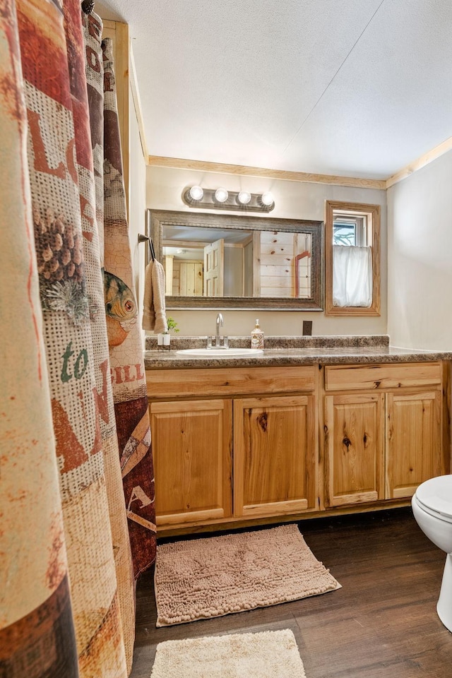46317 Lucretia Ln, Isle, MN 56342 - full bathroom with wood finished floors, vanity, ornamental molding, and a textured ceiling
