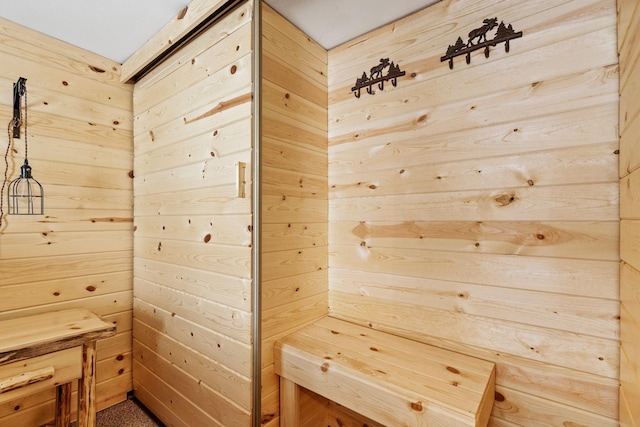 46317 Lucretia Ln, Isle, MN 56342 - sauna / steam room with wood walls