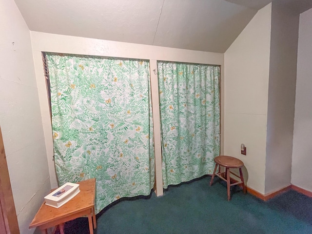 5566 Little Marais Rd, Crystal Bay Twp, MN 55603 - bedroom featuring carpet and vaulted ceiling