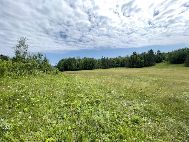 5566 Little Marais Rd, Crystal Bay Twp, MN 55603 - view of wooded area featuring a view of rural / pastoral area