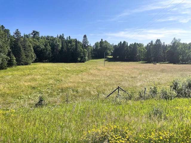 5566 Little Marais Rd, Crystal Bay Twp, MN 55603 - view of undeveloped land