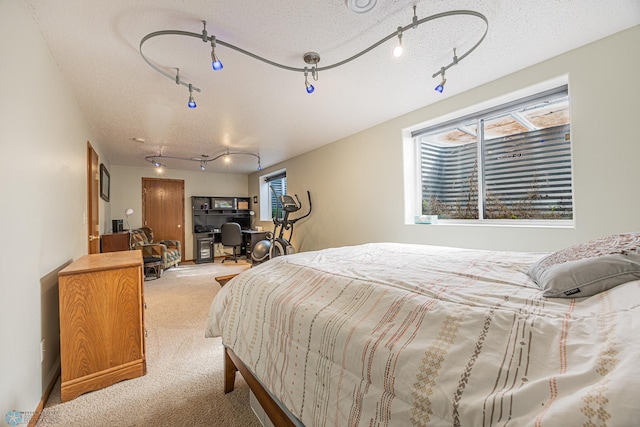 3730 Taylor St S, Fargo, ND 58104 - bedroom with rail lighting, carpet flooring, multiple windows, and a textured ceiling