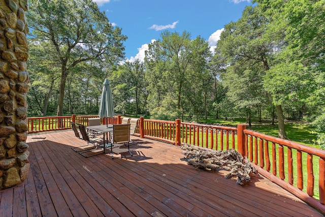 10203 316th Ave, Princeton, MN 55371 - photo 10