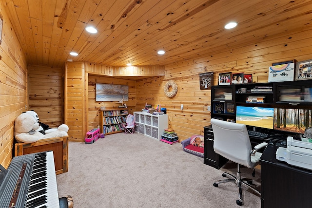 10203 316th Ave, Princeton, MN 55371 - photo 42