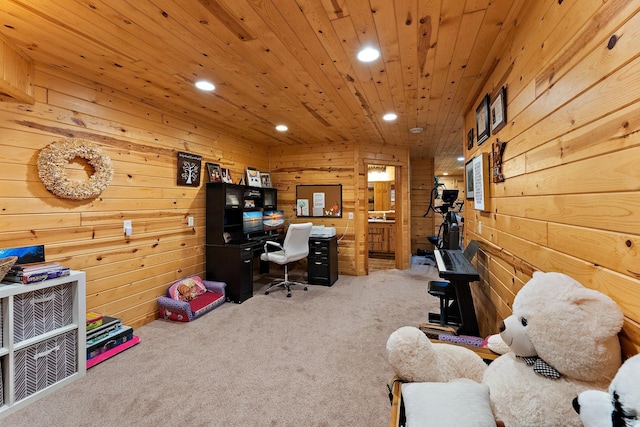 10203 316th Ave, Princeton, MN 55371 - photo 43