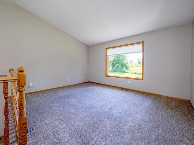 133 Summerfield Ct, Waverly, MN 55390 - carpeted spare room with baseboards and lofted ceiling