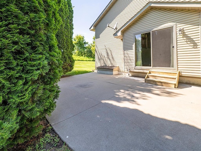 133 Summerfield Ct, Waverly, MN 55390 - view of patio featuring entry steps