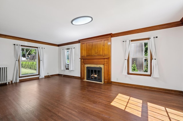 2440 37th Ave S, Minneapolis, MN 55406 - unfurnished living room with plenty of natural light, dark wood-style floors, crown molding, and a large fireplace