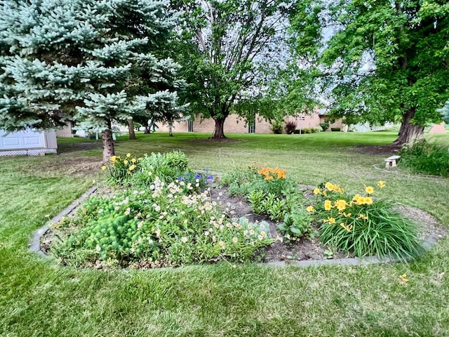 1002 6th Ave N, Wheaton, MN 56296 - view of green lawn