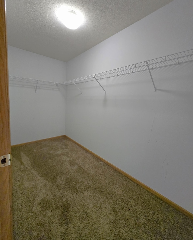 15304 Flower Way Unit 206, Apple Valley, MN 55124 - photo 8