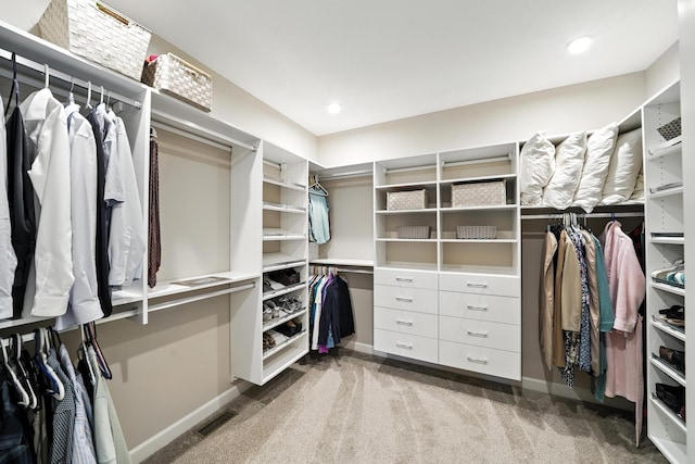 4364 Ginger Dr, Minnetrista, MN 55331 - spacious closet featuring carpet flooring