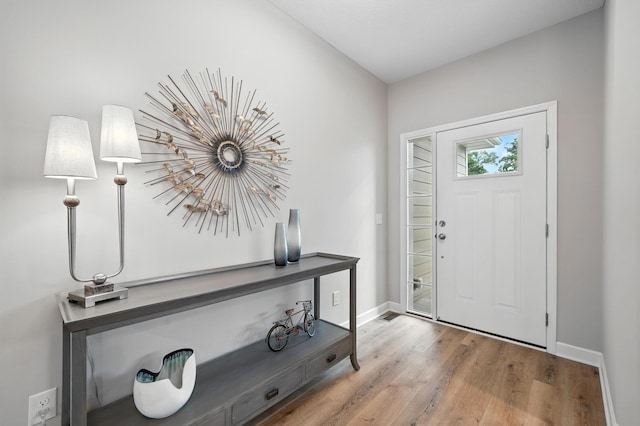 4364 Ginger Dr, Minnetrista, MN 55331 - foyer entrance featuring baseboards and wood finished floors