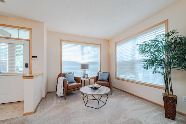 625 Wesley Commons Dr Unit 36, Golden Valley, MN 55427 - living area featuring light colored carpet
