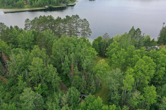 3549 Coe Lake Rd, Makinen, MN 55763 - photo 2