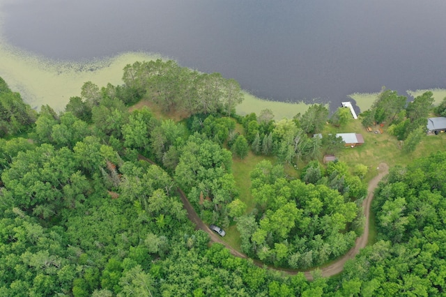 3549 Coe Lake Rd, Makinen, MN 55763 - photo 3