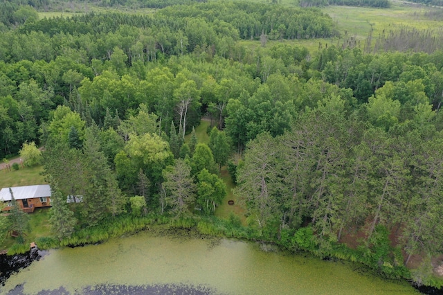 3549 Coe Lake Rd, Makinen, MN 55763 - photo 4