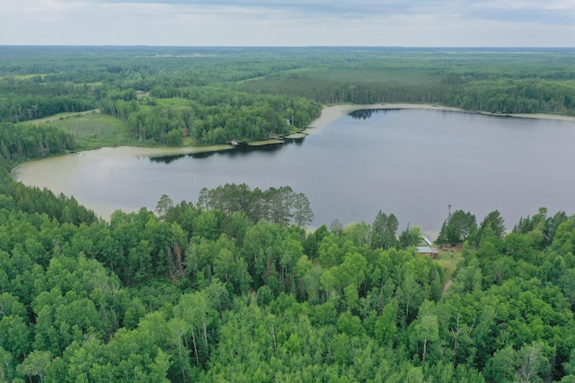 3549 Coe Lake Rd, Makinen, MN 55763 - photo 5