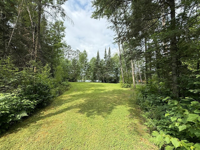 3549 Coe Lake Rd, Makinen, MN 55763 - photo 7