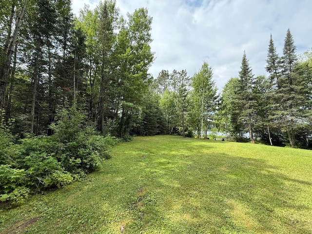 3549 Coe Lake Rd, Makinen, MN 55763 - photo 8