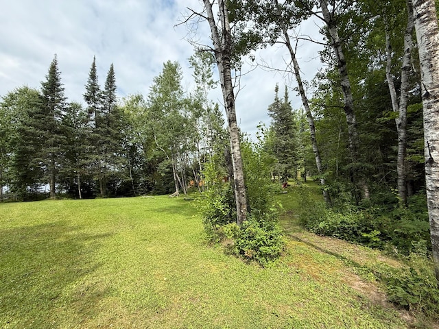 3549 Coe Lake Rd, Makinen, MN 55763 - photo 10