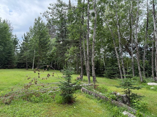 3549 Coe Lake Rd, Makinen, MN 55763 - photo 11