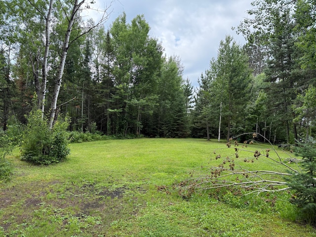 3549 Coe Lake Rd, Makinen, MN 55763 - photo 12