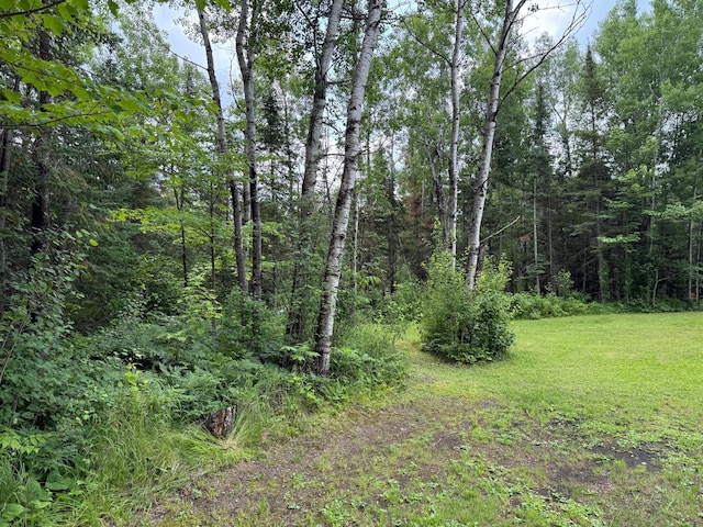 3549 Coe Lake Rd, Makinen, MN 55763 - photo 13