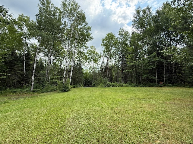 3549 Coe Lake Rd, Makinen, MN 55763 - photo 14