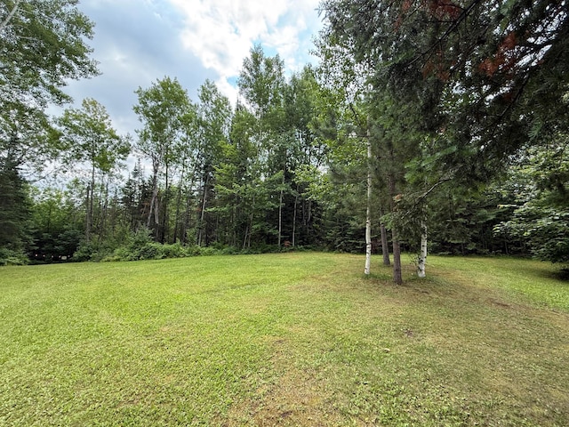3549 Coe Lake Rd, Makinen, MN 55763 - photo 15