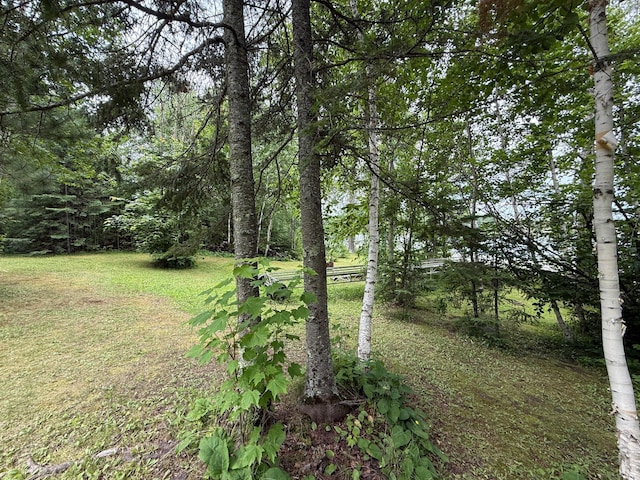 3549 Coe Lake Rd, Makinen, MN 55763 - photo 16