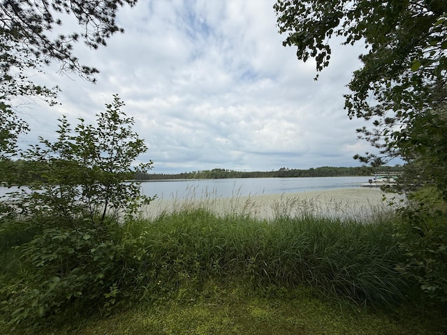 3549 Coe Lake Rd, Makinen, MN 55763 - photo 18