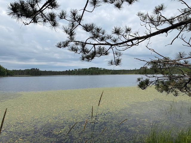 3549 Coe Lake Rd, Makinen, MN 55763 - photo 20