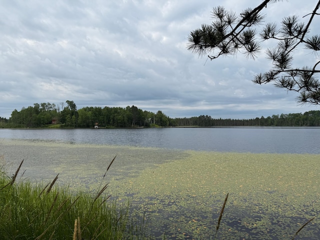 3549 Coe Lake Rd, Makinen, MN 55763 - photo 21