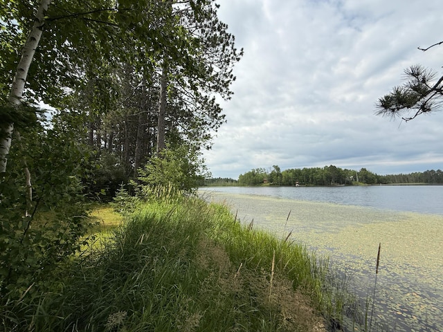 3549 Coe Lake Rd, Makinen, MN 55763 - photo 22