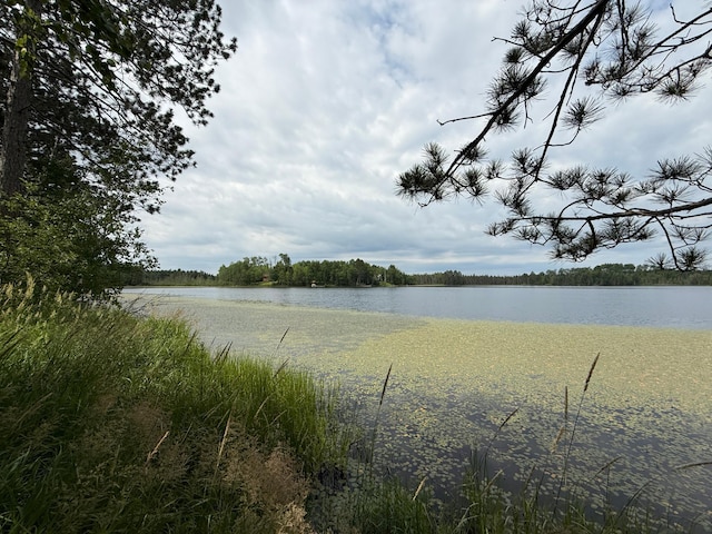 3549 Coe Lake Rd, Makinen, MN 55763 - photo 23