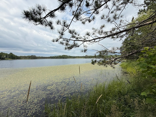 3549 Coe Lake Rd, Makinen, MN 55763 - photo 24
